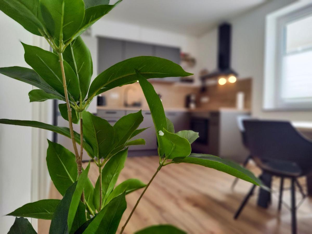 Hygge Home - Mit Garten Und Stellplatz Fuer Feriengaeste-, Monteure / Netflix / 10 Min. Zur Sinsheim Therme Und Zur Autobahn ภายนอก รูปภาพ